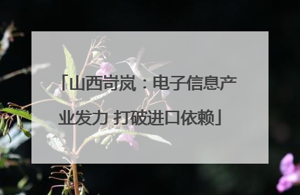 山西岢岚：电子信息产业发力 打破进口依赖