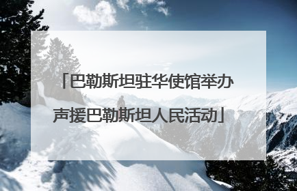 巴勒斯坦驻华使馆举办声援巴勒斯坦人民活动