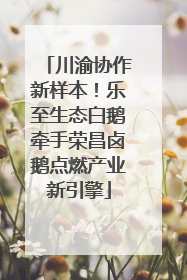 川渝协作新样本！乐至生态白鹅牵手荣昌卤鹅点燃产业新引擎