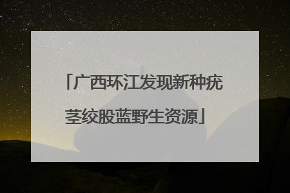 广西环江发现新种疣茎绞股蓝野生资源