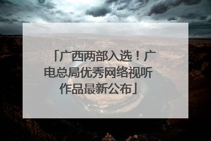 广西两部入选！广电总局优秀网络视听作品最新公布