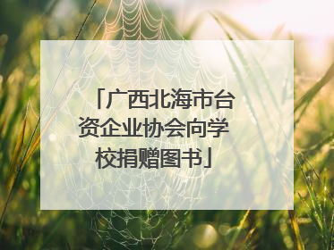 广西北海市台资企业协会向学校捐赠图书
