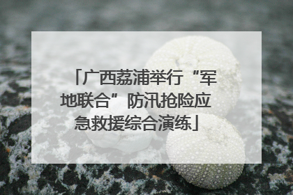 广西荔浦举行“军地联合”防汛抢险应急救援综合演练