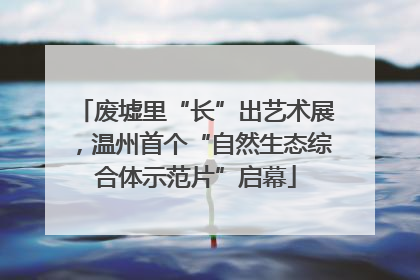 废墟里“长”出艺术展，温州首个“自然生态综合体示范片”启幕