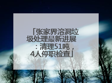 张家界溶洞垃圾处理最新进展：清理51吨，4人停职检查