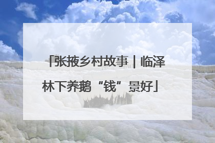 张掖乡村故事｜临泽林下养鹅“钱”景好