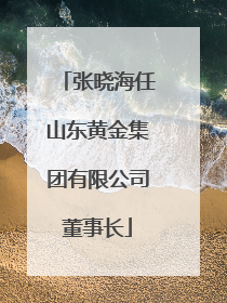 张晓海任山东黄金集团有限公司董事长