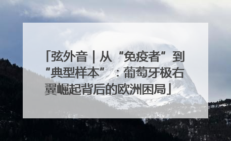 弦外音｜从“免疫者”到“典型样本”：葡萄牙极右翼崛起背后的欧洲困局