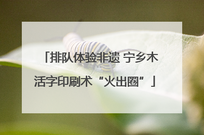 排队体验非遗 宁乡木活字印刷术“火出圈”