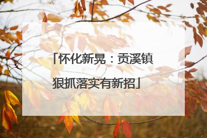 怀化新晃：贡溪镇狠抓落实有新招