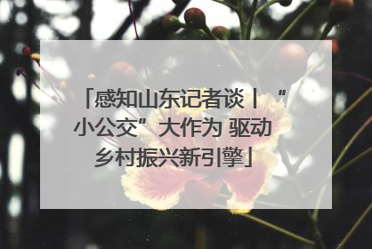 感知山东记者谈丨“小公交”大作为 驱动乡村振兴新引擎