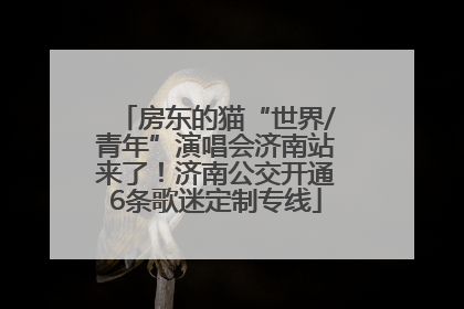 房东的猫“世界/青年”演唱会济南站来了！济南公交开通6条歌迷定制专线