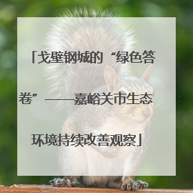 戈壁钢城的“绿色答卷”——嘉峪关市生态环境持续改善观察