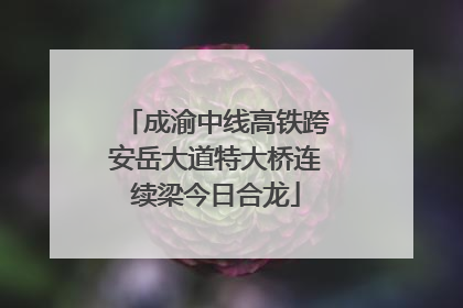 成渝中线高铁跨安岳大道特大桥连续梁今日合龙