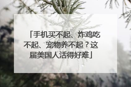 手机买不起、炸鸡吃不起、宠物养不起？这届美国人活得好难