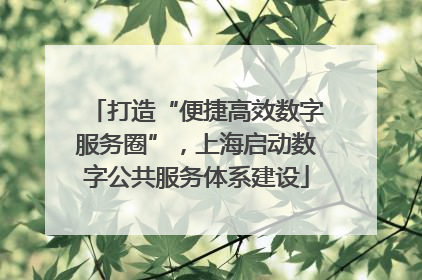 打造“便捷高效数字服务圈”，上海启动数字公共服务体系建设