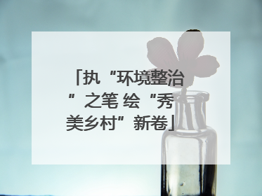 执“环境整治”之笔 绘“秀美乡村”新卷
