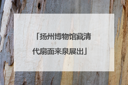 扬州博物馆藏清代扇面来泉展出