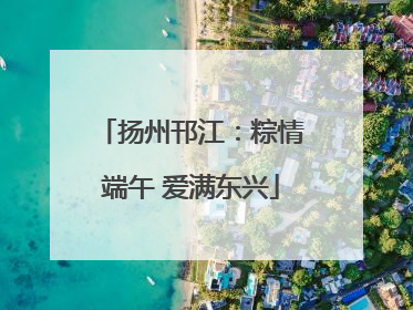 扬州邗江：粽情端午 爱满东兴