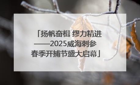 扬帆奋楫 缪力精进——2025威海刺参春季开捕节盛大启幕