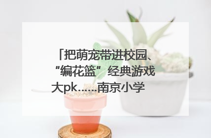 把萌宠带进校园、“编花篮”经典游戏大pk……南京小学花式“庆六一”