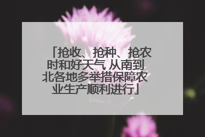 抢收、抢种、抢农时和好天气 从南到北各地多举措保障农业生产顺利进行