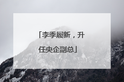 李季履新，升任央企副总