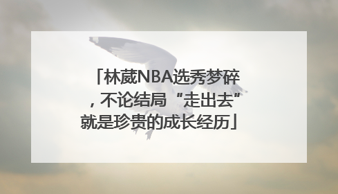 林葳NBA选秀梦碎，不论结局“走出去”就是珍贵的成长经历