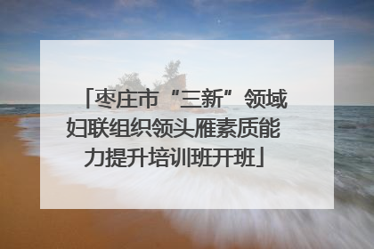 枣庄市“三新”领域妇联组织领头雁素质能力提升培训班开班