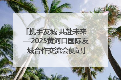 携手友城 共赴未来——2025黄河口国际友城合作交流会侧记