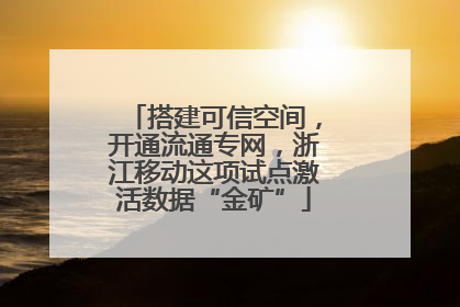 搭建可信空间，开通流通专网，浙江移动这项试点激活数据“金矿”