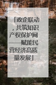 政企联动，共筑知识产权保护网——赋能民营经济高质量发展