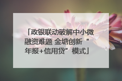 政银联动破解中小微融资难题 金塘创新“年报+信用贷”模式