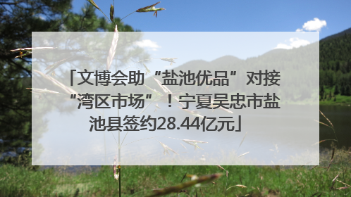 文博会助“盐池优品”对接“湾区市场”！宁夏吴忠市盐池县签约28.44亿元