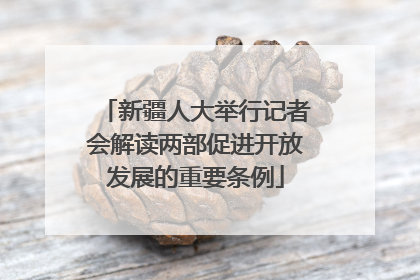 新疆人大举行记者会解读两部促进开放发展的重要条例