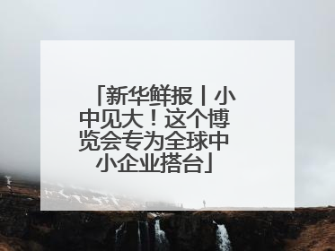 新华鲜报丨小中见大！这个博览会专为全球中小企业搭台