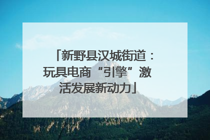 新野县汉城街道：玩具电商“引擎”激活发展新动力