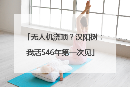 无人机浇顶？汉阳树：我活546年第一次见
