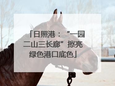 日照港：“一园二山三长廊”擦亮绿色港口底色