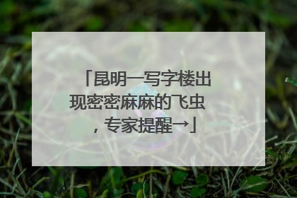 昆明一写字楼出现密密麻麻的飞虫，专家提醒→