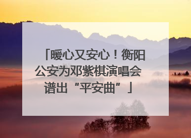 暖心又安心！衡阳公安为邓紫棋演唱会谱出“平安曲”