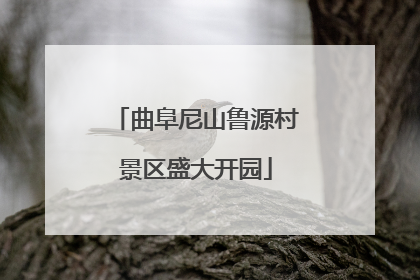 曲阜尼山鲁源村景区盛大开园