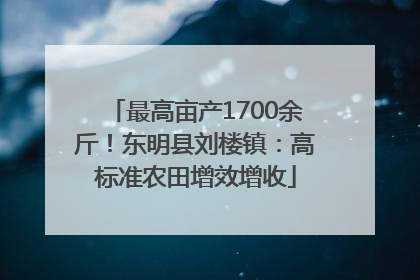 最高亩产1700余斤！东明县刘楼镇：高标准农田增效增收