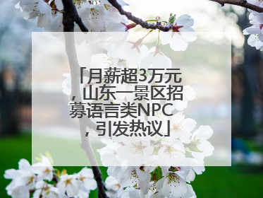 月薪超3万元，山东一景区招募语言类NPC，引发热议