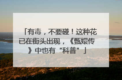 有毒，不要碰！这种花已在街头出现，《甄嬛传》中也有“科普”