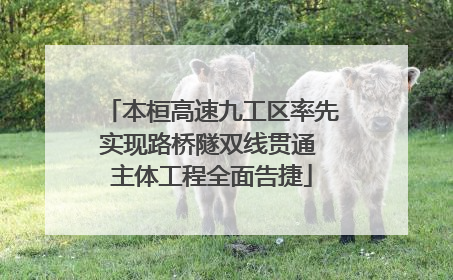 本桓高速九工区率先实现路桥隧双线贯通 主体工程全面告捷