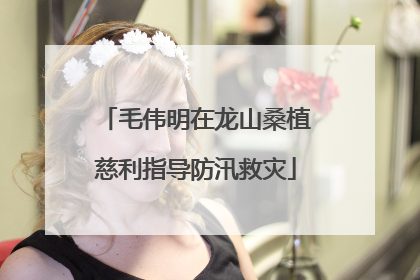 毛伟明在龙山桑植慈利指导防汛救灾