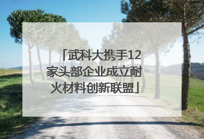 武科大携手12家头部企业成立耐火材料创新联盟