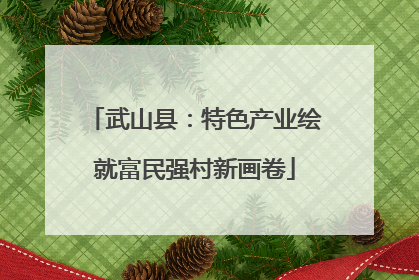 武山县：特色产业绘就富民强村新画卷