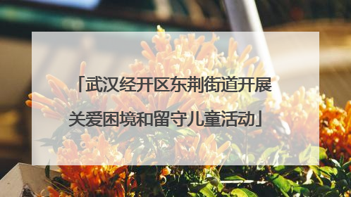 武汉经开区东荆街道开展关爱困境和留守儿童活动